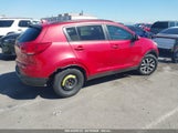 KIA SPORTAGE LX KNDPB3AC0E7607615 снимка