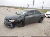 TOYOTA COROLLA 2T1BU4EE9AC310258 снимка