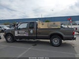 FORD F-250 LARIAT/XL/XLT 1FTNX20P43ED75097 снимка