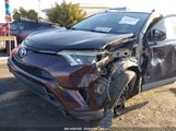TOYOTA RAV4 LE 2T3ZFREV3GW261840 снимка