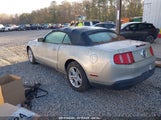 FORD MUSTANG V6/V6 PREMIUM 1ZVBP8EN0A5122494 photo