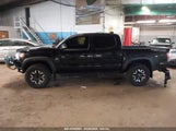 TOYOTA TACOMA TRD OFF ROAD 3TMCZ5AN1PM583518 fotografie