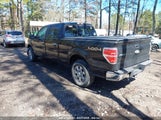FORD F-150 XLT 1FTFW1ETXDFA71176 снимка