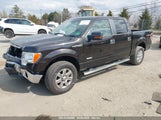 FORD F-150 XLT 1FTFW1ET9DFC69778 снимка