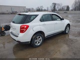 CHEVROLET EQUINOX LS 2GNALBEKXH1593410 снимка