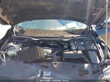 HONDA CIVIC LX 2HGFC2F65LH564964 снимка