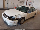CHEVROLET MALIBU 1G1ND52JX3M589738 снимка