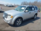 FORD ESCAPE XLT 1FMCU9DG2BKB88326 fotografie