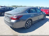 NISSAN ALTIMA 2.5 SR 1N4AL3APXHC142963 снимка