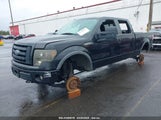 Ford F-150 Fx4/Harley-Davidson/King Ranch/Lariat/Platinum/Xl/Xlt 1FTFW1EV6AFD46538 fotografie