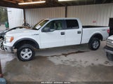 FORD F-150 FX4/HARLEY-DAVIDSON/KING RANCH/LARIAT/PLATINUM/XL/XLT 1FTFW1EV5AFA24327 снимка