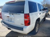 CHEVROLET TAHOE COMMERCIAL FLEET 1GNFK13049R243915 photo