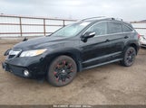 ACURA RDX 5J8TB4H53DL022966 снимка