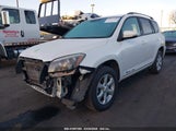 TOYOTA RAV4 EV 2T3YL4DV2DW001644 fotografie