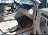 FORD TAURUS LIMITED 1FAHP2FW3AG143285 снимка