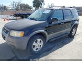 FORD ESCAPE XLT 1FMCU03181KA15501 fotografie