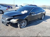 NISSAN MAXIMA 3.5 SV 1N4AA5AP9AC818391 снимка