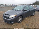 TOYOTA COROLLA LE 2T1BU4EE6AC413363 снимка