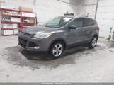 FORD ESCAPE SE 1FMCU0GX0FUC84036 снимка