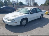 CHEVROLET LUMINA TAXI 2G1WL52M0V9170010 снимка