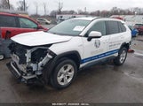 TOYOTA RAV4 HYBRID LE 2T3MWRFV6MW118143 fotografie