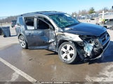 TOYOTA RAV4 SPORT JTMWF4DV6A5031599 fotografie