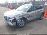 HYUNDAI TUCSON HYBRID BLUE KM8JBCD17RU195387 fotografie