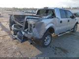 FORD F-150 XL 1FTFW1ET4DKF05583 снимка