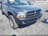 DODGE DAKOTA SPORT/SXT 1D7HG38N73S168586 photo