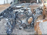 JEEP GRAND CHEROKEE 4XE 1C4RJYB67R8516021 fotografie