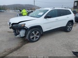 JEEP CHEROKEE LIMITED 4X4 1C4PJMDX6LD503944 photo