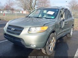 HYUNDAI SANTA FE SE 5NMSH13E09H238457 снимка