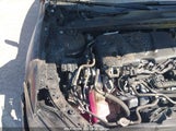 TOYOTA CAMRY HYBRID LE 4T1B31HK6JU002885 снимка