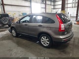 HONDA CR-V SE 5J6RE4H41BL010832 снимка