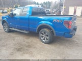 Ford F-150 Fx4 1FTFX1ET9DFA33841 снимка