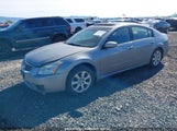 NISSAN MAXIMA 3.5 SL 1N4BA41EX7C856041 снимка