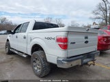 Ford F-150 Fx4/Harley-Davidson/King Ranch/Lariat/Platinum/Xl/Xlt 1FTFW1EV1AKB04439 снимка