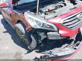 HYUNDAI SONATA SPORT 5NPE34AF8GH354918 photo