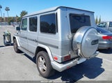 MERCEDES-BENZ G 500 WDCYR49E02X129195 photo