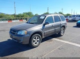 MAZDA TRIBUTE S 4F2CZ04196KM12520 снимка