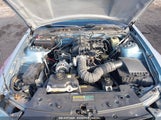 FORD MUSTANG V6 DELUXE/V6 PREMIUM 1ZVFT80N855137996 photo