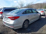 HYUNDAI SONATA SPORT 5NPE34AF4FH047759 photo