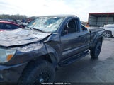 TOYOTA TACOMA BASE V6 5TFUU4EN9EX107113 снимка