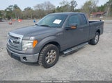 FORD F-150 XLT 1FTEX1CM8DFB14529 снимка