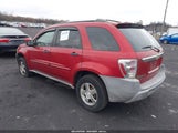 CHEVROLET EQUINOX LS 2CNDL23F556136350 снимка
