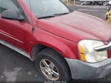 CHEVROLET EQUINOX LS 2CNDL23F556136350 снимка