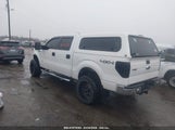 FORD F-150 XLT 1FTFW1ET0EFB41074 снимка