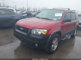 FORD ESCAPE XLT 1FMYU93135KD89174 снимка