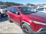 JEEP CHEROKEE TRAILHAWK 1C4PJMBS2EW160368 снимка