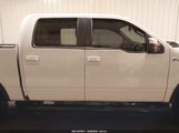 Ford F-150 Fx4/Harley-Davidson/King Ranch/Lariat/Platinum/Xl/Xlt 1FTFW1EV4AFD93938 снимка